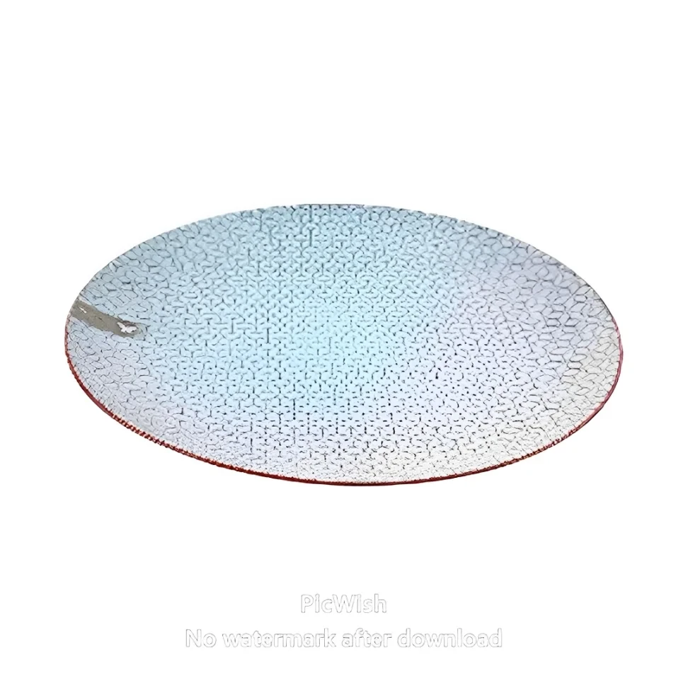 PLATO LLANO 10.5" 705-2400446 BLANCO/GRIS